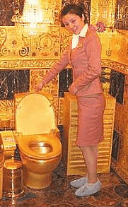 [Image: gold-toilet.gif]